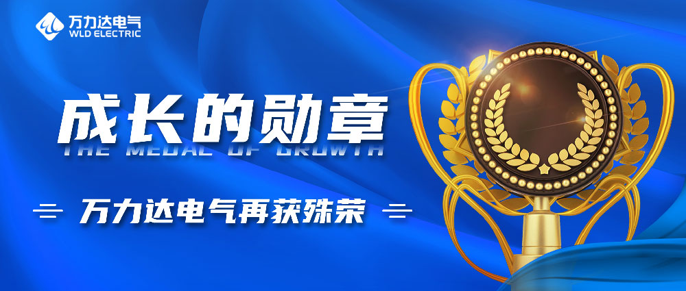 成长的勋章！九游老哥J9俱乐部电气再获殊荣
